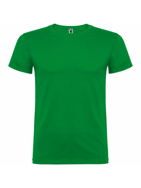 t-shirt-beagle-colorata-verde kelly.jpg